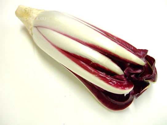 Radicchio