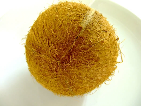 Coconut