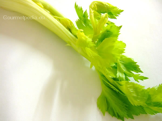 Celery