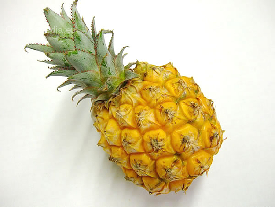 Baby-pineapple