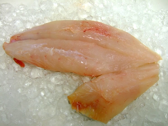 John Dory