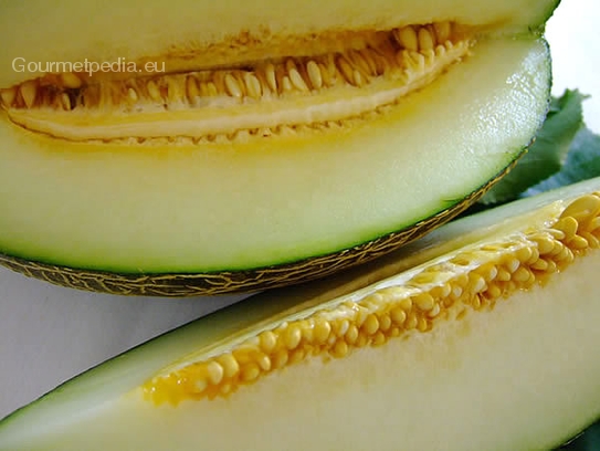 Piel de Sopa melon