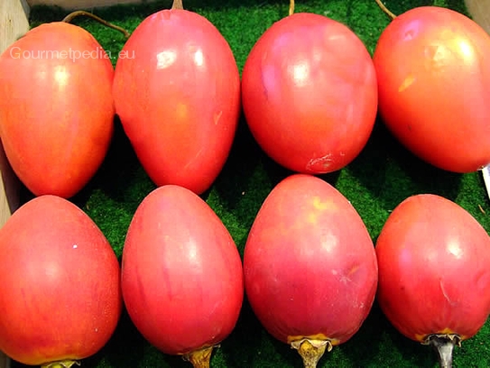 Tamarillo