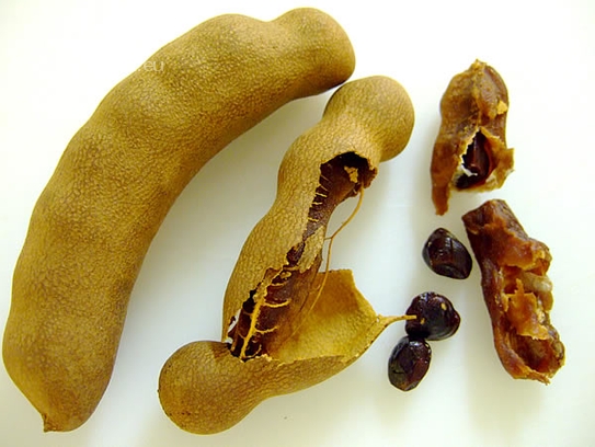 Tamarind