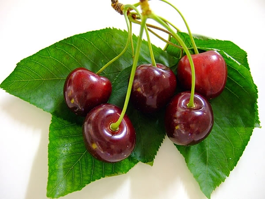 Cherry