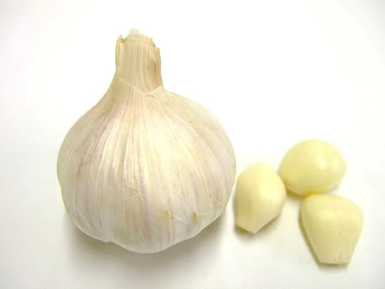 Garlic