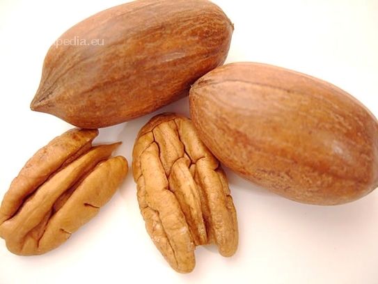 Pecan nut