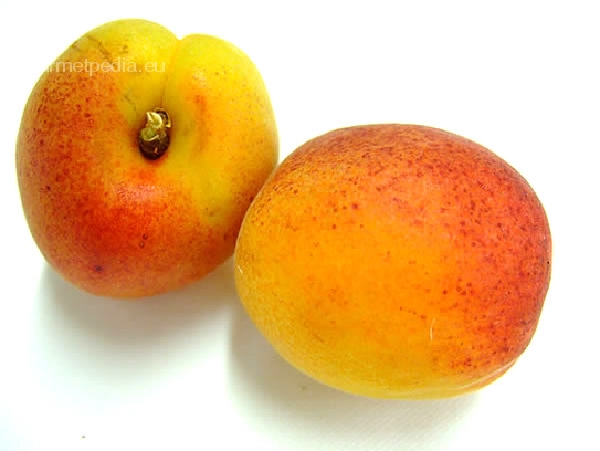 Apricot