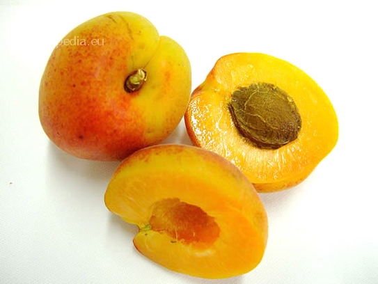 Apricot