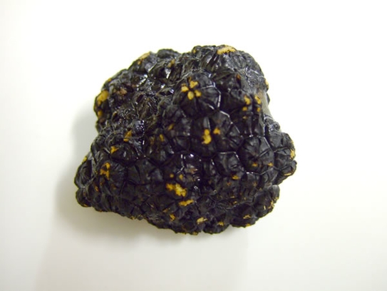 Black truffles