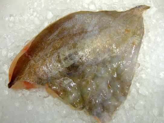 John Dory