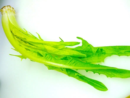 Dandelion salad