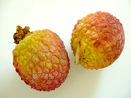 Litchi