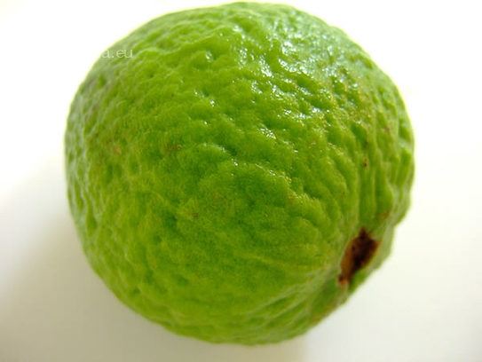 Guava