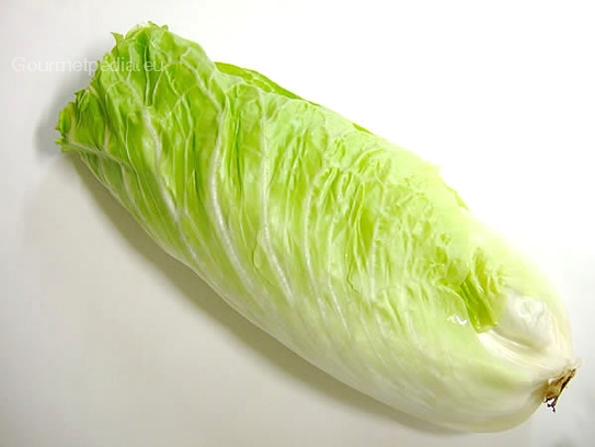 Chinese cabbage