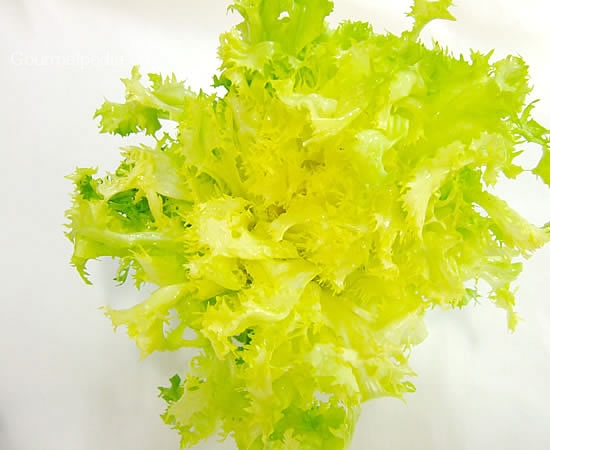 Frisée