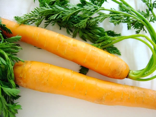 Carrots