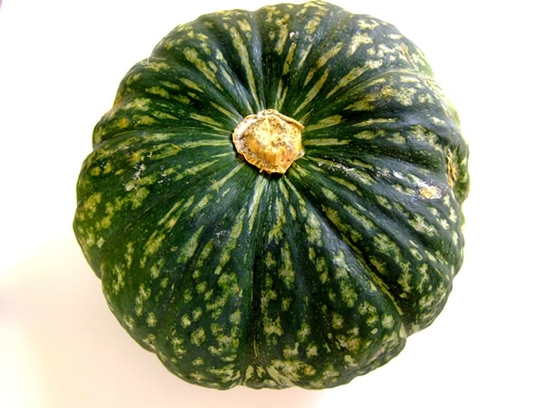 Moschus pumpkin