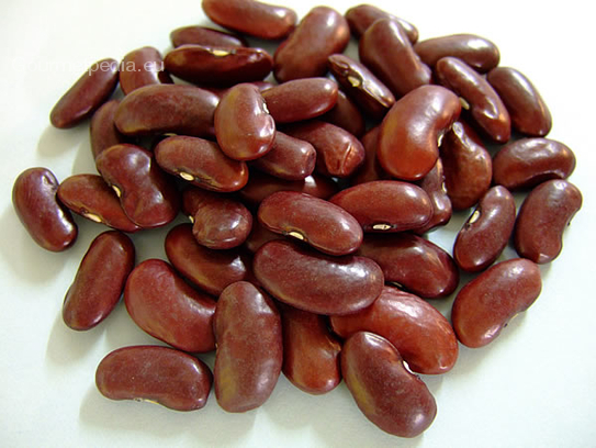 Kidney beans