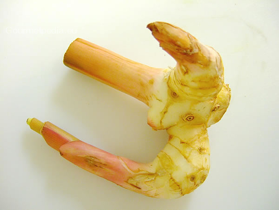 Greater galangal