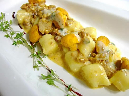 Potato gnocchi with chanterelle sauce and watercress