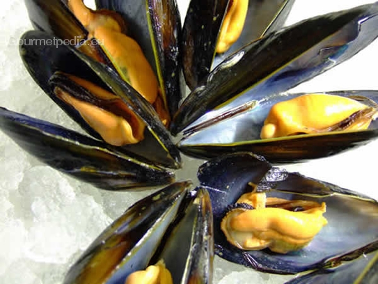 Mussels