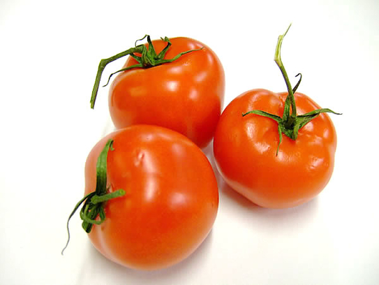 Tomato