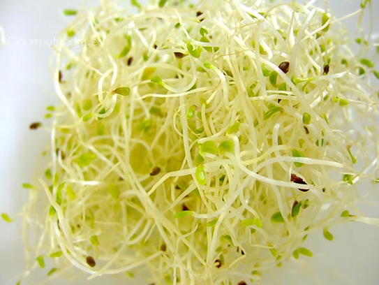 Sprouts