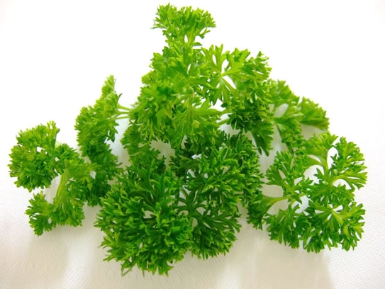 Parsley