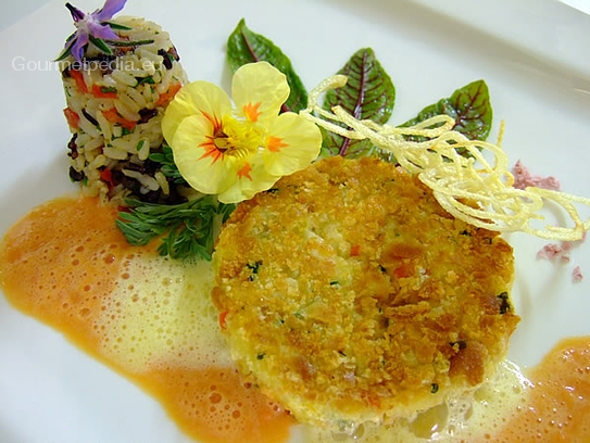 Fried millet cakes with rice timbale on pepper sauce