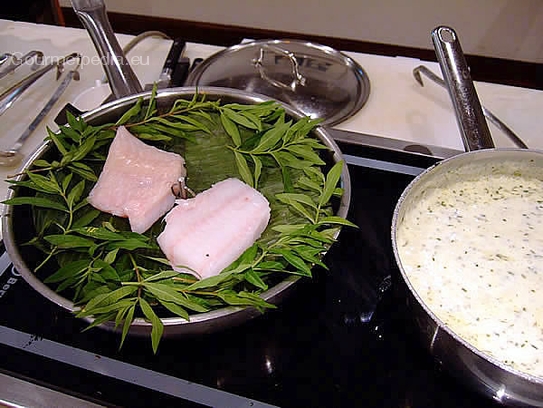 Loche de rivière en hierbas al vapor con salsa cremosa de eneldo y pepinos