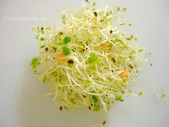 Sprouts