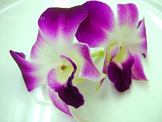 Karma Edible Orchid