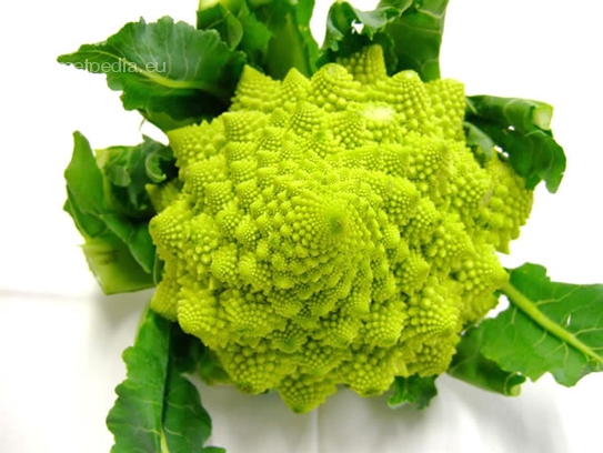 Green cauliflower