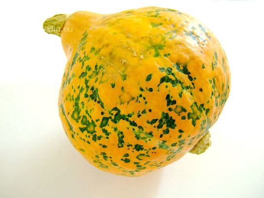 Hokkaido pumpkin