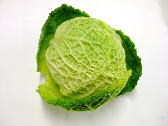 Savoy cabbage