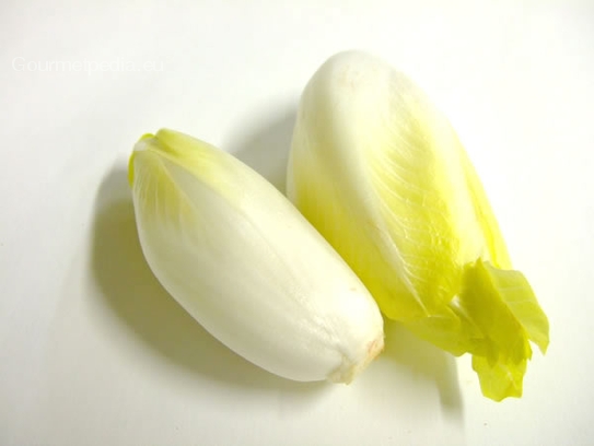 Chicory