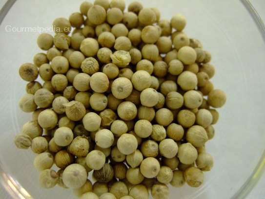 White peppercorns