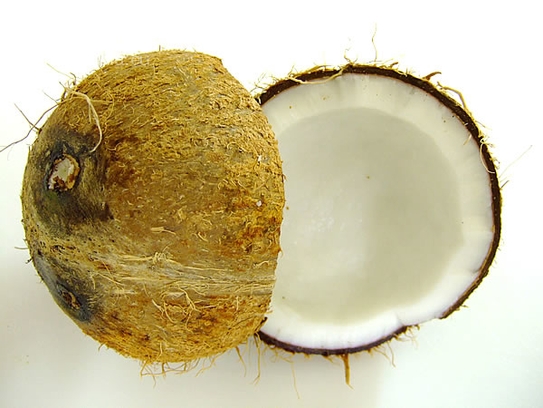 Coconut