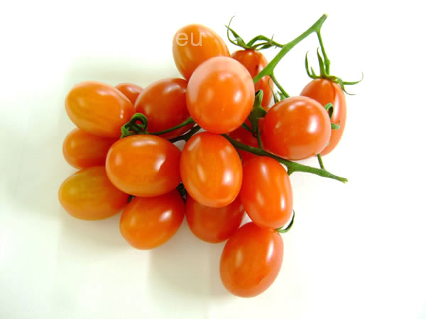 - date Cherry tomatoes Vegetables Gourmetpedia -