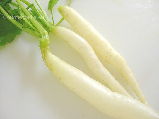 White finger radish