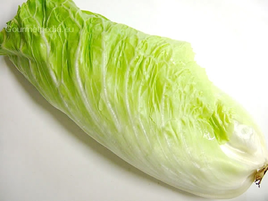 Chinese cabbage