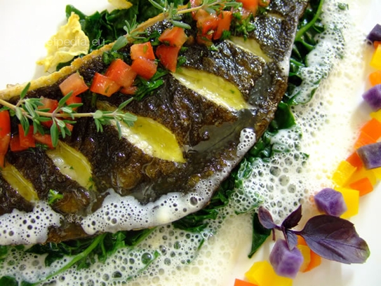 Pan seared fillet of plaice on sauteed leaf spinach with white wine sauce