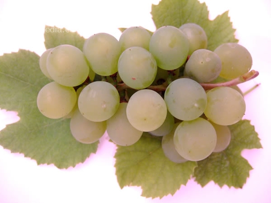 White grapes