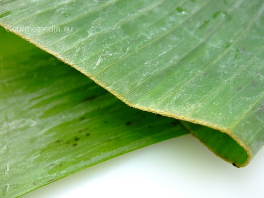 Banana leaf