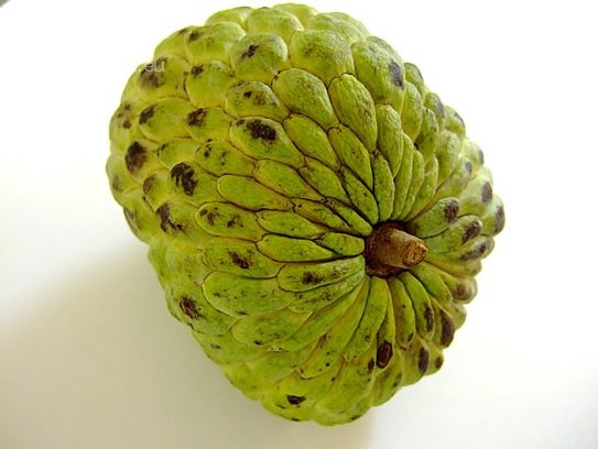 Sweetsop/Sugar Apple