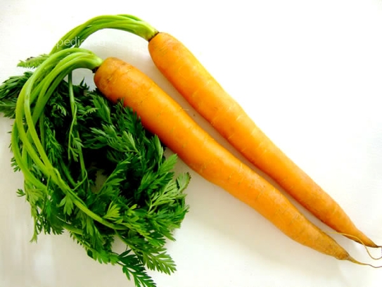 Carrots