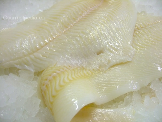 Fillet of halibut