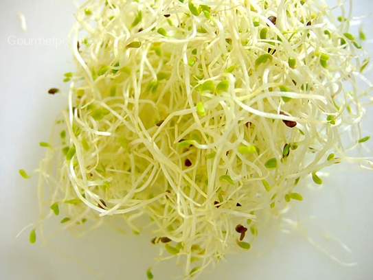 Sprouts