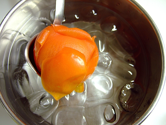 Tomaten in kochenden Wasser kurz eintauchen bis sich die Haut zu lösen beginnt, anschließend in Eiswasser abschrecken